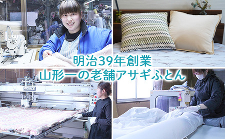 【備長炭入り】熟睡専用ベッドマットレス ダブル(140×200cm) FZ26-713