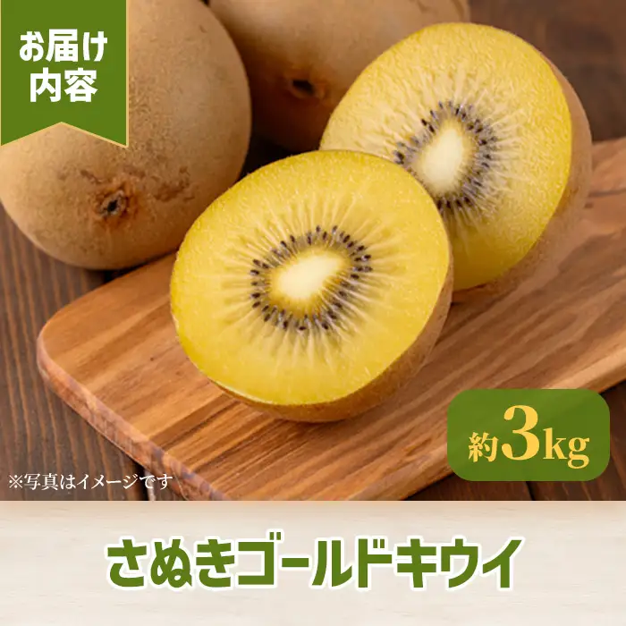 ＜先行予約！2026年10月中旬以降順次発送予定＞香川県産 さぬきゴールドキウイ(約3kg) 国産 果物 フルーツ キウイフルーツ 【man063-B】【Aglio nero】