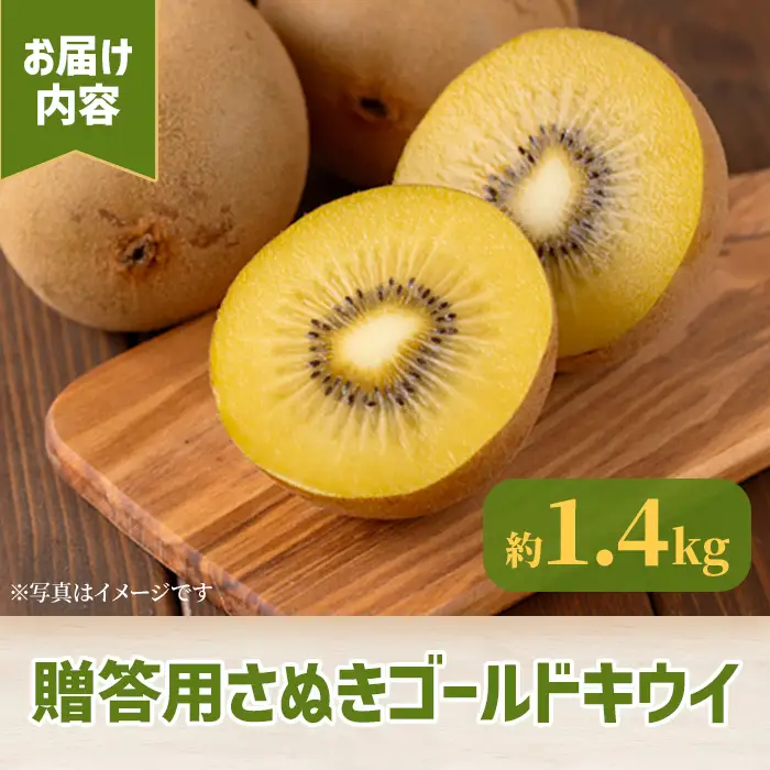＜先行予約！2026年10月中旬以降順次発送予定＞《贈答用・大玉厳選》 香川県産 さぬきゴールドキウイ(約1.4kg・化粧箱) 国産 果物 フルーツ キウイフルーツ 【man064】【Aglio nero】