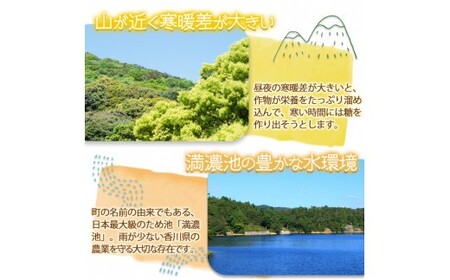 ＜先行予約！2026年6月上旬以降順次発送予定＞ バイカラコーン (約4kg) トウモロコシ とうもろこし 人気 【man070】【Aglio nero】