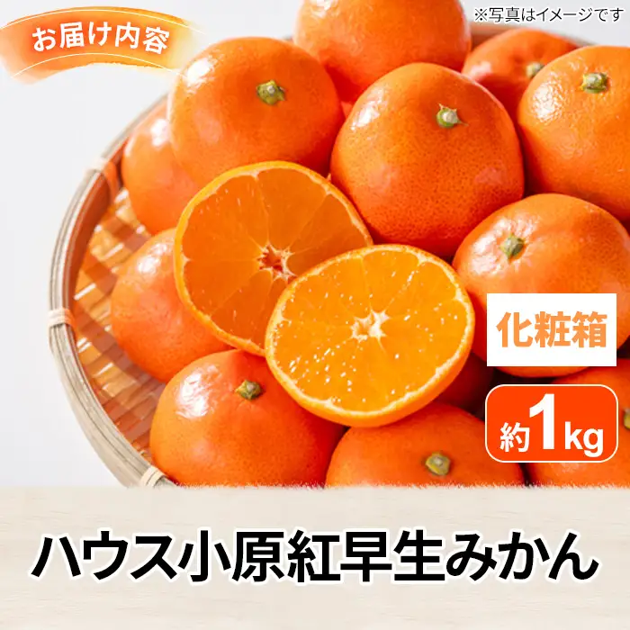 ＜期間限定！2026年6月下旬以降順次発送予定＞香川県産 ハウス小原紅早生みかん(約1kg/化粧箱) ミカン フルーツ 果物 柑橘 人気 【man072】【Aglio nero】