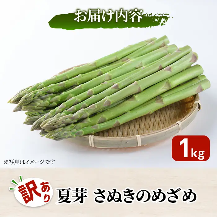 ＜先行予約！2026年6月上旬以降順次発送＞＜訳あり＞夏芽！さぬきのめざめ(約1kg) 香川県 国産 野菜 アスパラ 新鮮 冷蔵便 【man082-A】【Aglio nero】
