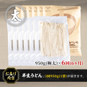 ＜訳あり・定期便＞半生うどん (5.7kg(6回)・極太) 本場 讃岐 香川県 麺 コシ 常温 小麦 【man164-D】【こんぴらや販売】