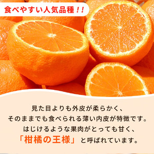 【先行予約】紀州有田産不知火(しらぬひ) 2.5kg　※2027年2月中旬頃〜3月中旬頃に順次発送予定（お届け日指定不可）/みかん 不知火 和歌山 フルーツ 有田【uot794】
