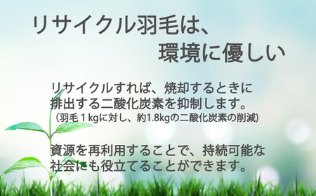 ザ・羽毛ふとん/立体キルト 布団 睡眠 寝具 ふとん【251-000370-20】 【10-69】