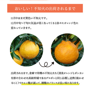 S153-002_天草産 訳あり 不知火 約5kg