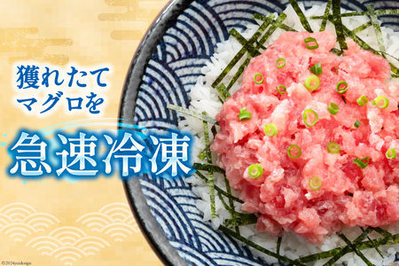 ねぎとろ 天然まぐろ 計1kg ねぎとろ [臼福本店 20564310] 