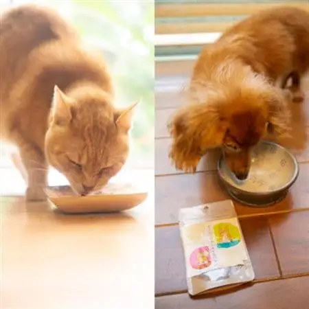愛犬猫のための「無添加イノシシジャーキー4袋とふりかけ2袋」のセット【1491111】