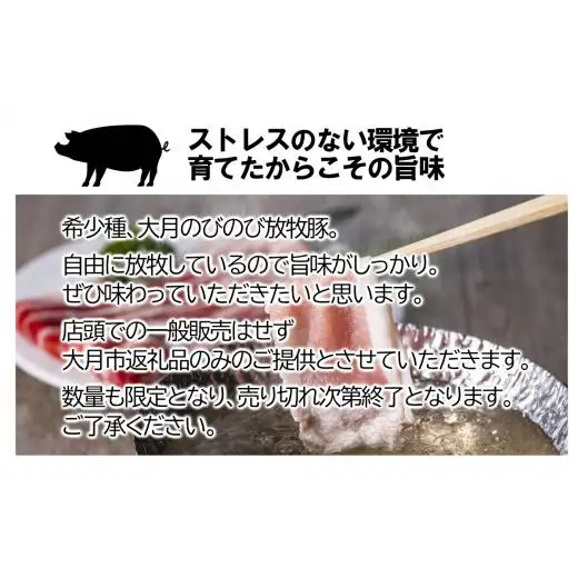 大月のびのび放牧豚【お楽しみ4品セット】肩ロース150g×2モモ300g切落し300gひき肉500g