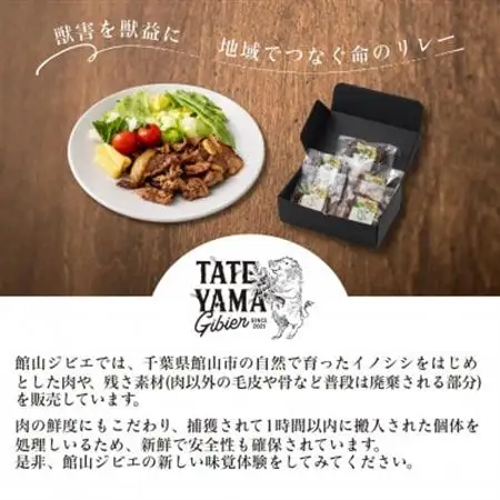 館山ジビエ おうちでらくらくジビエセット【配送不可地域：離島】【1486494】