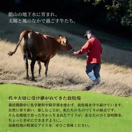 須藤牧場 館山市コラボカップアイス 6個セット(ミルク・いちご・マンゴー　各2個)【配送不可地域：離島】【1486763】