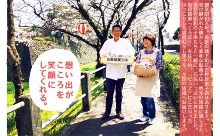 DA035 島原駄菓子 詰め合わせ 大サイズ [ 長崎県 島原市 ]