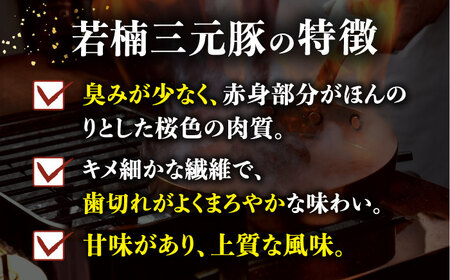 【3回定期便】若楠三元豚ハンバーグ 8個 /ナチュラルフーズ [UBH056] ハンバーグ