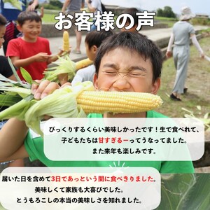 【令和８年産】早朝採りトウモロコシ10本セット　◆配送６月下旬～７月頃