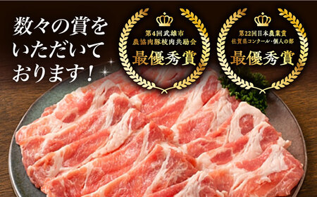 【12回定期便】若楠三元豚 切り落とし 1kg /ナチュラルフーズ [UBH076] 切り落とし