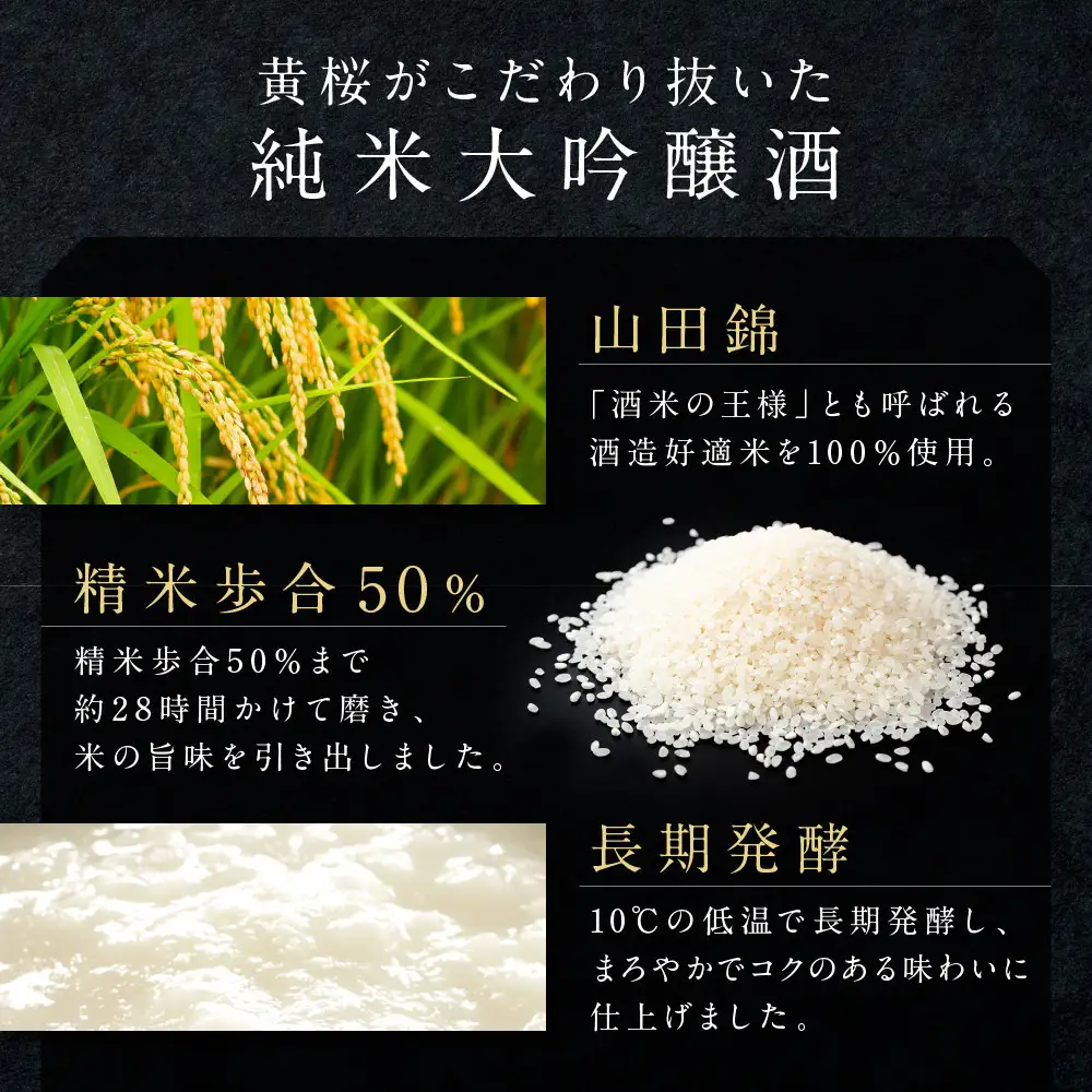 【黄桜】Ｓ純米大吟醸 (180ml×20本)| 日本酒 酒 人気