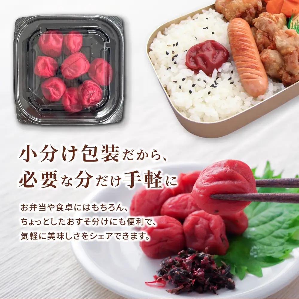 梅干し 小分け 南高梅 無添加 しそ漬け梅干し 110g×2【frsn0019A】