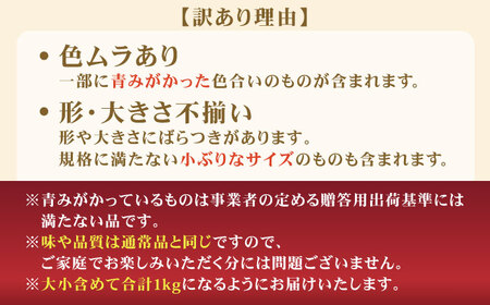 【先行予約】【訳あり】プリンセス マンゴー 不揃い 約1kg[QAT009] マンゴー フルーツ 