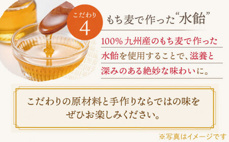 【全3回定期便】「こだわりの逸品」長崎 カステラ  [1.2号] 計6本（0.6号10切入×2本入/回）【文明堂総本店】[QAU020]
