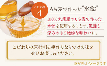 【全12回定期便】「こだわりの逸品」長崎カステラ［2号] 計24本（1号10切入×2本入/回）【文明堂総本店】[QAU025]