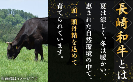 長崎 和牛 ハンバーグ 20個入 (各200g) 和牛 ハンバーグ 和牛【黒牛】[QBD021]