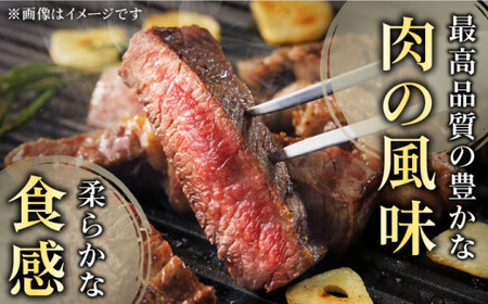 【全6回定期便】「極厚！」長崎和牛 サーロイン ステーキ 計6.0kg (約1.0kg/回)【黒牛】[QBD045]