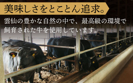 【全12回定期便】長崎和牛 サーロイン ステーキ 総計12.0kg (1.0kg/回)【株式会社 OGAWA】[QBI014]