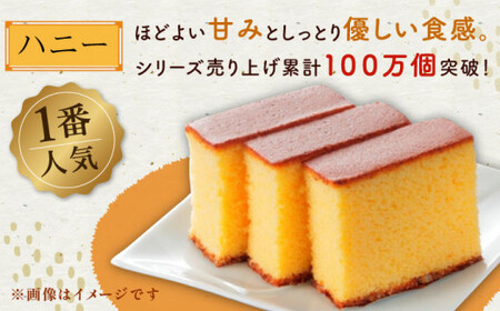 カステラ ざんまい 5枚カット×2箱 (ハニー×2)【菓秀苑 森長】[QBL005] 長崎カステラ おやつ 九州 長崎 佐々町 ふるさと納税 おすすめ