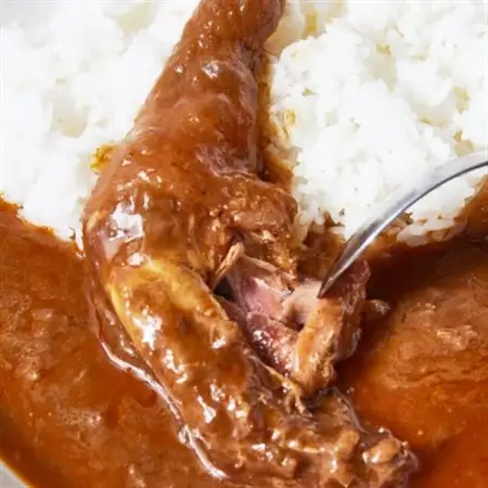 ひねキングカレー(300g入り、4箱セット) レトルトカレー_惣菜・加工品 レトルト    惣菜・加工品 カレー  _【1485298】