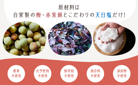 2403 昔ながらの しょっぱい おおすみ 百年 梅干 800g （ 400g×2袋 ） 塩分20% KN093-001-01 