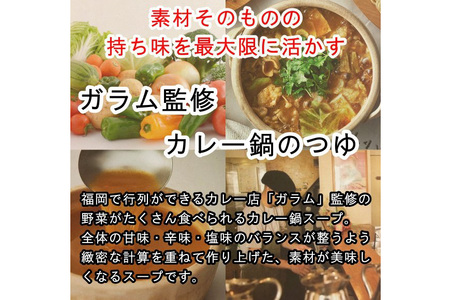 カレー鍋のつゆ 4人前 500g×2 スパイス付 [キヨトク 福岡県 筑紫野市 21760717]
