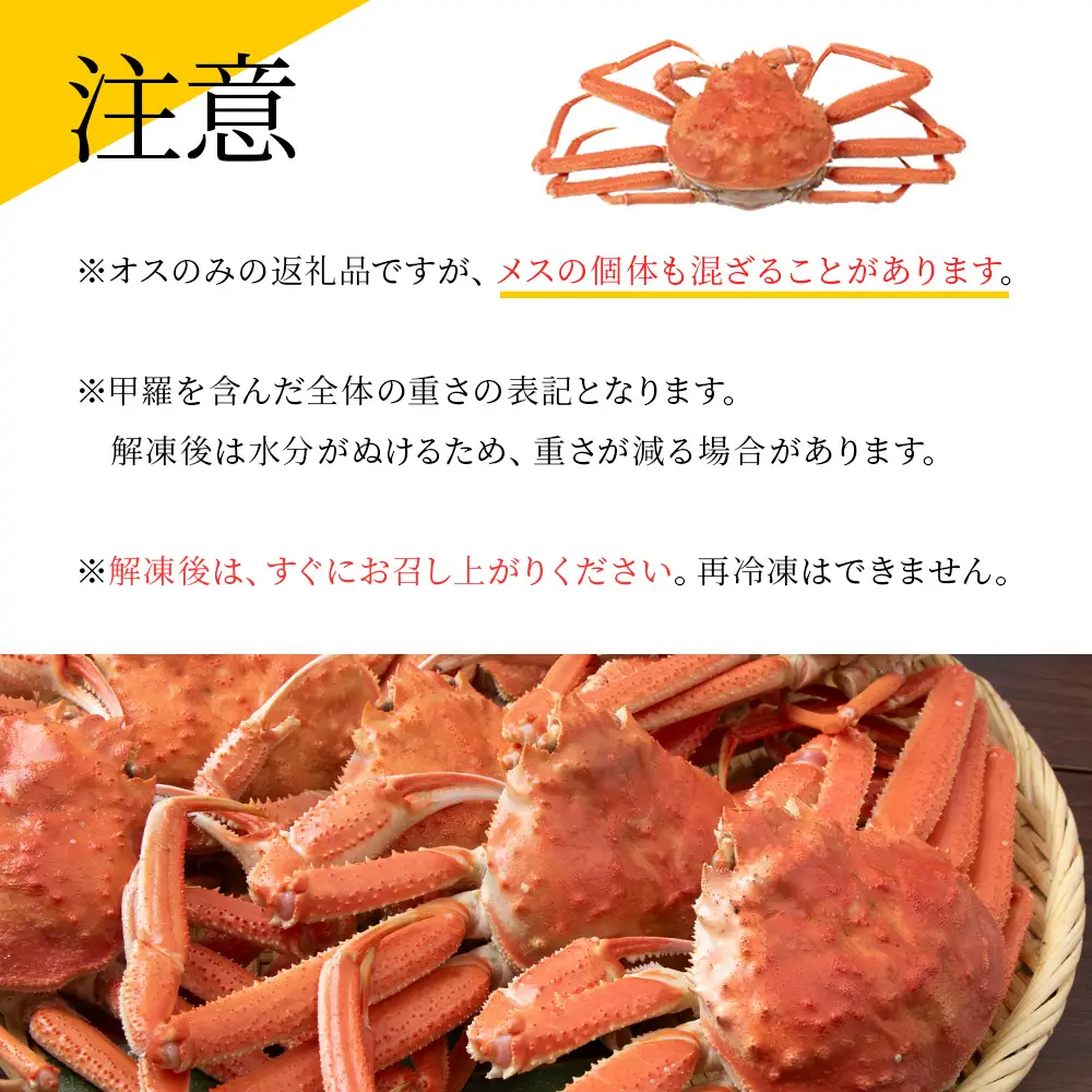 【7営業日以内発送】訳あり オオズワイガニオス 中サイズ (約200-350g) 浜ゆで 2kg (6～10尾入) AS176