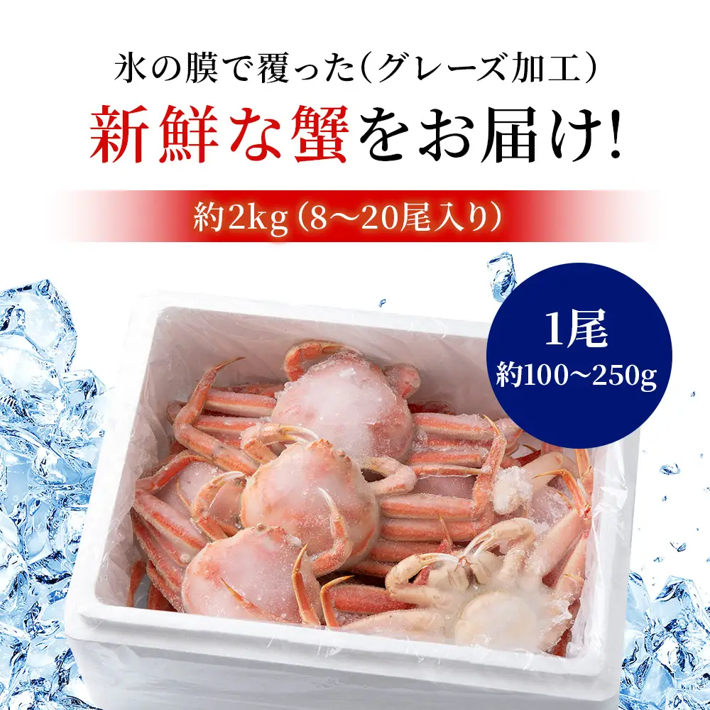 訳あり オオズワイガニオス 小サイズ (約100-250ｇ) 浜ゆで 2kg (8～20尾入) AS177