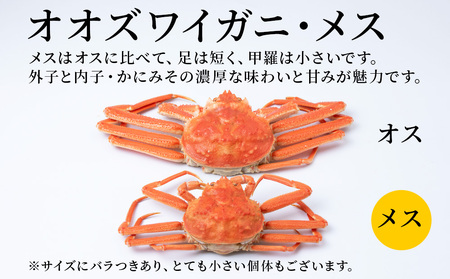 訳あり オオズワイガニメス (約100-200g前後)  浜ゆで 2kg (10～20尾入) AS174