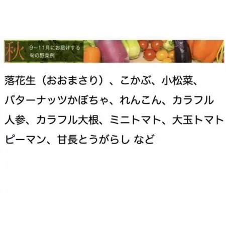 【毎月定期便】【上旬発送】こだわりの旬野菜BOX「リエビン」季節の野菜セット全6回【配送不可地域：離島・北海道】【4012342】