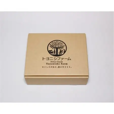 豊西牛 リブロース ステーキ セット 600g (200g×3パック) トヨぽん付き_肉 ステーキ 牛肉 ビーフステーキ  調味料   _【配送不可地域：離島】【1483750】
