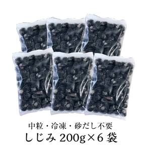 青森県 十三湖産 冷凍しじみ （中粒） 約1.2kg 【小野や】 F6N-093