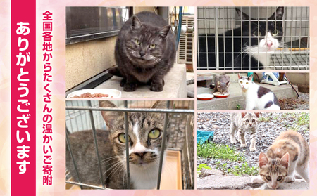 【返礼品なし】動物愛護に関することへの応援寄附(5,000円)_B001-043