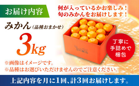 【先行予約】【3回定期便】みかん 約3kg 詰め合わせ 柑橘【合同会社 社方園】[ZBZ022]
