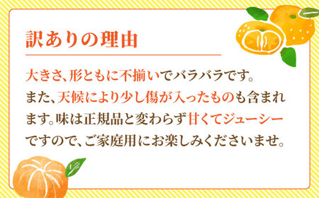 【先行予約】【2回定期便】【訳あり】家庭用 みかん 約3kg 詰め合わせ 柑橘【合同会社 社方園】[ZBZ033]