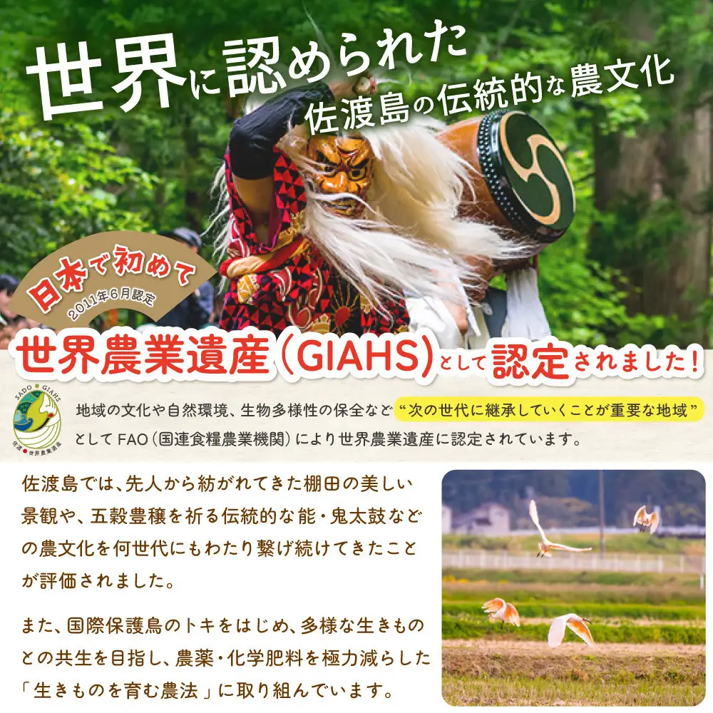 佐渡島産コシヒカリ 棚田米食べ比べセット 白米4Kg（2Kg×2地域）