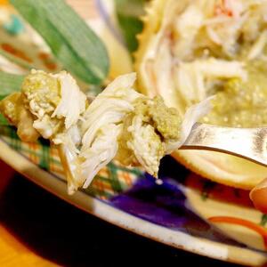 先行予約 訳あり 蟹 松葉ガニ ボイル 2枚 年明け 配送 着日指定不可 北海道、沖縄、一部離島への配送不可 松葉がに