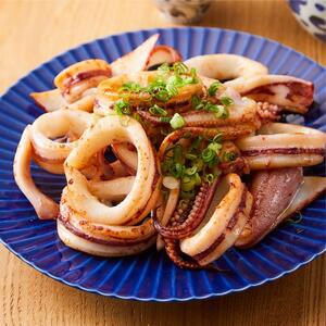 【先行予約 2026年6月以降発送】山陰直送 刺身用白イカ 700g（3～6杯）　※北海道、沖縄、一部離島への配送不可 |剣先イカ