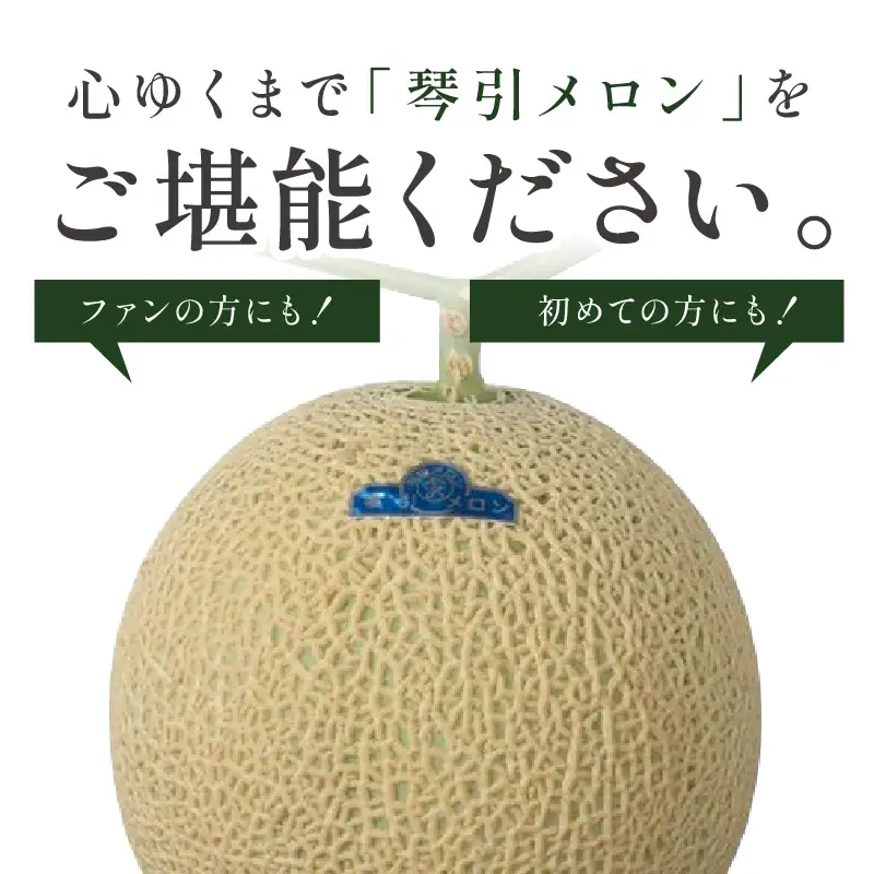 【2026年6月下旬-発送】 琴引メロン LA 1玉 京のブランドメロン