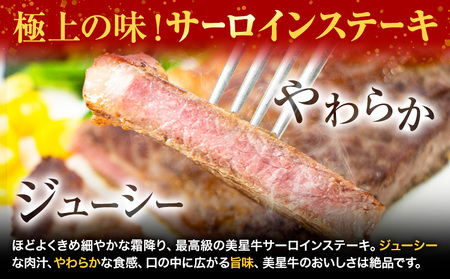 【2ヶ月定期便】 牛肉 美星牛 定期便 ハレノヒ良品 牛肉