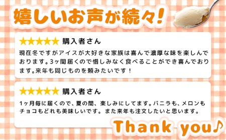 【Secoma】北海道アイスクリーム6個セット 3種×各2個（バニラ・メロン・チョコ） アイス  ふるさと納税 北海道 アイス 食べ比べ セット オンライン申請 オンライン バニラ メロン チョコ アイス 羽幌町 羽幌【01106】