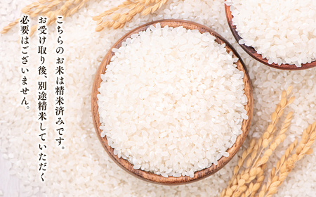 【レビューキャンペーン】青天の霹靂5kg【青森県 平川市 JA津軽みらい】 米 お米 精米 青森県産 産地直送 おにぎり 朝ご飯 冷めてもおいしい ご飯  コメ こめ 白米 ごはん ブランド米 特A 特A米 お取り寄せ グルメ [hi-0002-001]