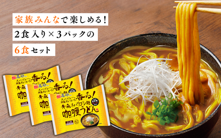 【レビューキャンペーン】青森ネバリゴシ麺カリーうどん6食 高砂食品[hi-0012-003]