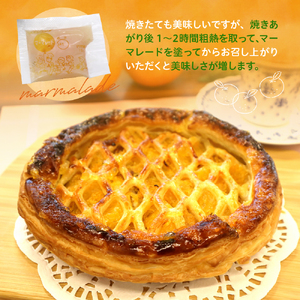 洋菓子素材工房ぴゅあハウス 成形済 冷凍 八朔パイ 約20cm (7号弱) はっさくパイ ケーキ ホールケーキ スイーツ デザート お菓子 洋菓子 ご褒美 誕生日 お取り寄せ グルメ 送料無料 洋菓子素材工房ぴゅあハウス 広島県 呉市 ku156-003-r