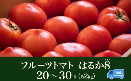 【2026年発送】 糖度8度以上 フルーツトマト はるか8（エイト） 20～30玉 トマト 野菜 夏 野菜 旬 甘い 濃厚 果物 フルーツ 高糖度 新鮮 産地直送 北海道 美深町